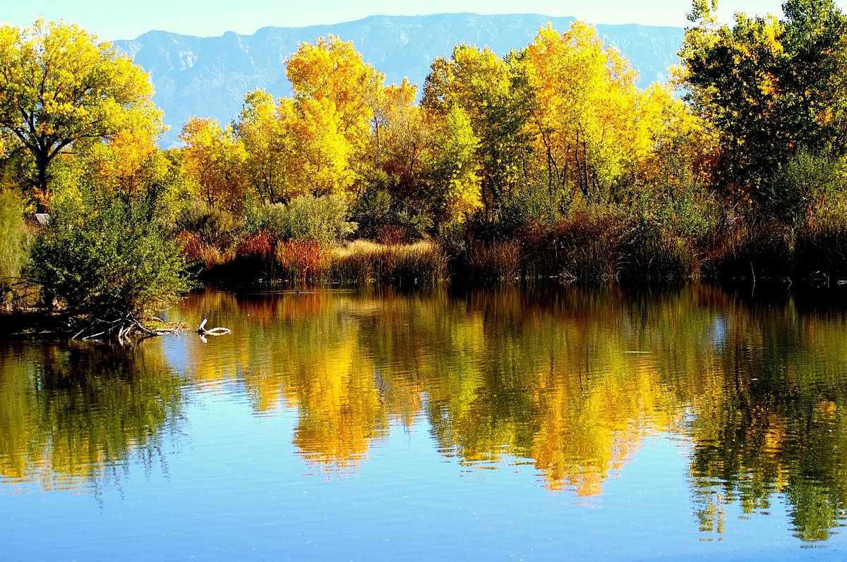 rio-grande-nature-center (1).jpg