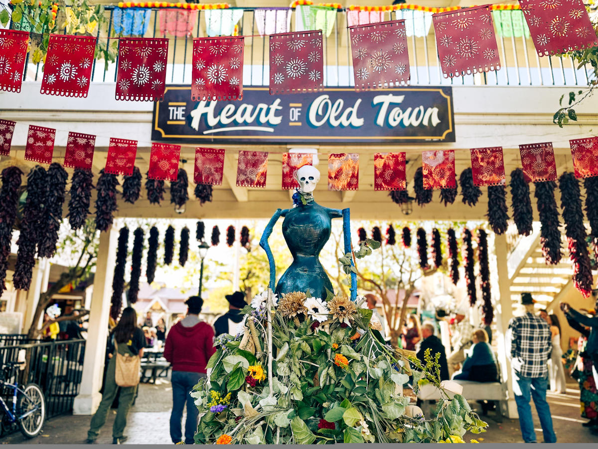 What to Do in Albuquerque This October: 2026 Local Guide